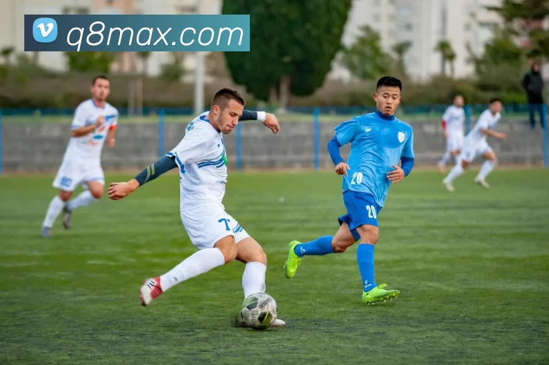 Q8娱乐城官网平台生态图